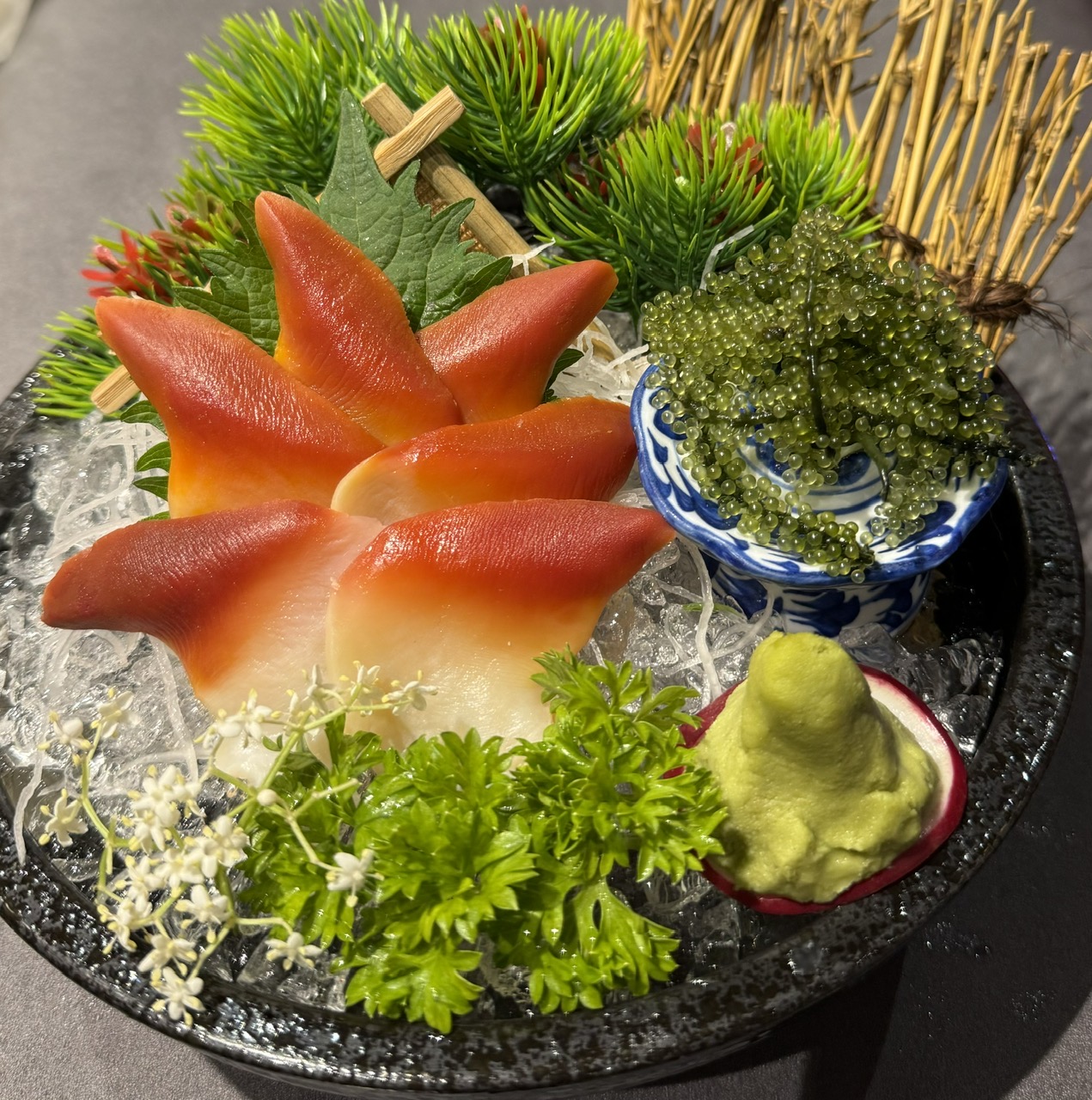 Sò lửa/SURF CLAM/ほっき貝刺身